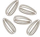 Icon de graine